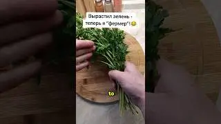 ВЫРАСТИЛ ЗЕЛЕНЬ ДОМА  - ТЕПЕРЬ Я 