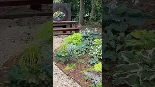 How to create a magical shade garden! #gardendesign #gardenideas #shadegarden
