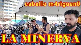 LA MINERVA SKA PUNK en el Aniversario 30 del Tianguis Cultural (caballo mariguano)