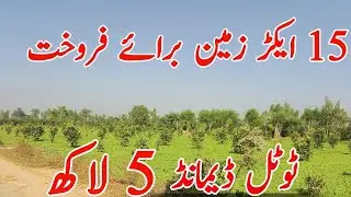 #Agriculture Land for Sale in Punjab Pakistan | Farming Land | #agriculturalproperty 