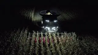 FENDT IDEAL 9T + 12 rows CAPELLO Quasar | Corn Harvest | 4K 2021