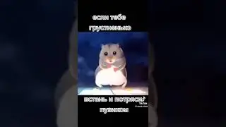 19 мая 2024 г.