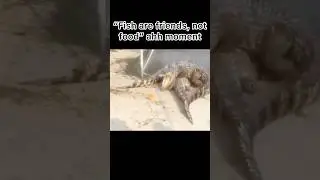 &ldquo;Fish are friends. Not food.&rdquo; 💀 #viral #trending #memes #findingnemo #idk #fish #shorts
