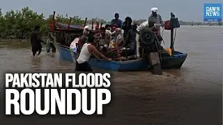 Pakistan Floods: Punjab, Sindh Struggle as Relief Efforts Intensify | Sept 5 Update | Dawn News