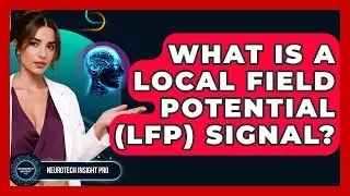 What Is A Local Field Potential (LFP) Signal? - Neurotech Insight Pro
