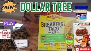 Dollar Tree Haul | Burlington & Trader Joe's + More Quick Share 
