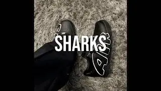 [FREE] *HARD* nine vicious + 1300saint + 406ahmad type beat - 