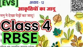 Chapter 12 | Class 4 EVS  | आकृतियों का जादू | सभी प्रश्न उत्तर । RBSE | Question Answers | rbsc