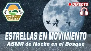 #asmrsounds 🎧 ASMR en el Bosque, Noche Natural 🌙 Grillos, Luna y Estrellas en movimiento