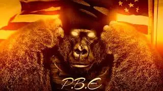 PBE - No Truce