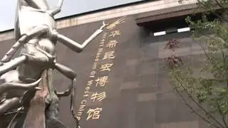 SW China insect museum to become world's second-largest