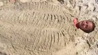 RARE Trilobite found on beach!