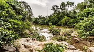 50 years of achieving harmony with nature &ndash; UNESCO MAB Programme (Floor)
