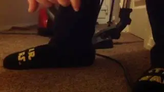 The Miele cat and dog plus