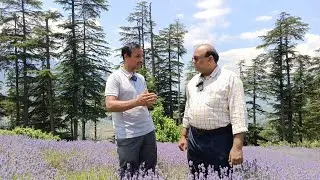 Chat with Sh. Bharat Bhushan Ji on Lavender farming in Bhaderwah, Jammu.