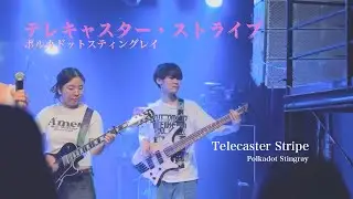 ポルカドットスティングレイ(Polkadot Stingray) - テレキャスター・ストライプ(Telecaster Stripe) | cover by november
