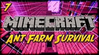 Minecraft Ant Farm Survival [7] - Happy Home Designer!