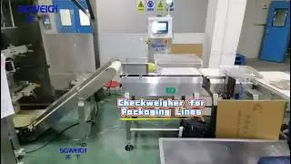 Checkweigher for Packaging Lines#checkweigher #packingmachine