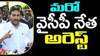 YSRCP Leader Arrest in TDP Office Attack Case : PDTV News