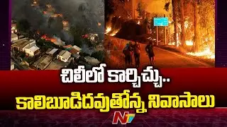 Wildfires In Chile Spread to Residential Houses, Residents are being evacuated | Ntv
