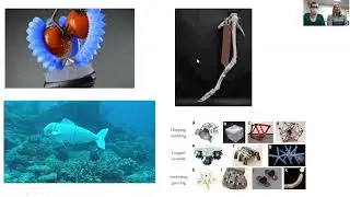 Soft Robotics Research Pitch