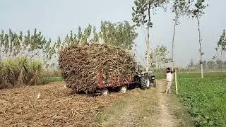 Eicher 333 ne ट्रॉली ki रेल बना दी फिर ट्रॉली ने ट्रैक्टर की रेल बना दी देखो लास्ट में क्या हुआ आज🚜