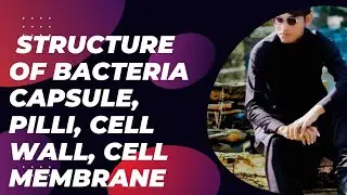 Structure Of Bacteria Capsule, Cell Wall, Flagella, Pilli, Cell Membrane, Cytoplasm, Ribosomes, G. O