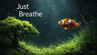Beautiful Planted Aquarium 🌿 Relaxing Meditation Music (1 Hour) | Sleep & Stress Relief