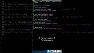 What Happens When You Type `ls -l` in Linux? #linuxforbeginners #sre #interview