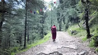 Natural Drive - Matan Lavi Ben Zahav
