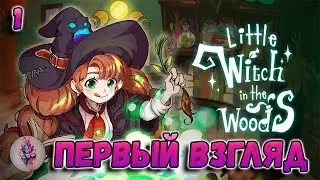№1. Little Witch in the Woods. Маленькая ведьмочка в лесу😃