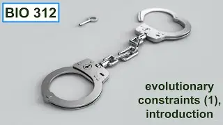 Evolutionary constraints (1), introduction.