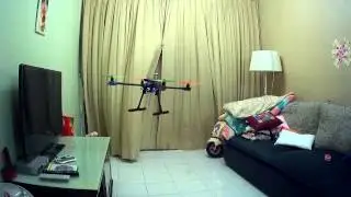 Tarot FY650+DJI Naza M Lite