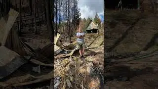 Wildfire Survivor talks about Gun Lake Fire & Ember Armor Sprinklers