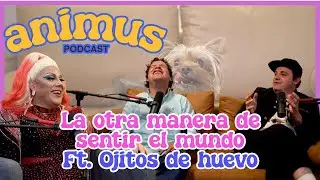 ANIMUS EP 36: La otra manera de sentir el mundo Ft. Ojitos de Huevo