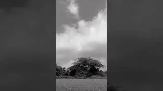 Dil meri na sune 🌹