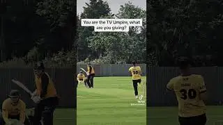 You are the TV Umpire. What&rsquo;s your decision?