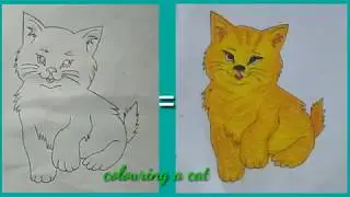Cara mewarnai kucing mudah dan bagus hasilnya || how to colour a cat easy and nice
