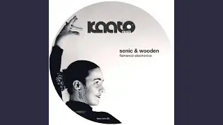 Flamenco Electronico (Flamenco Mix)