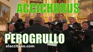 🔵 Villancico PEROGRULLO | Solista y coro de voces graves ACCICHORUS Guadix 🔵