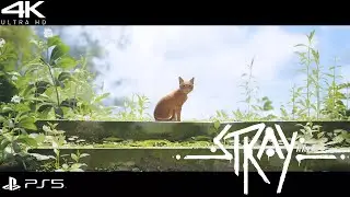 Stray | The Ending