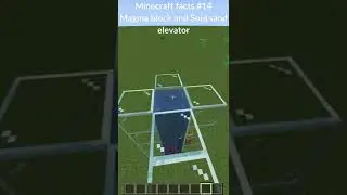 Minecraft facts #14 Magma block and Soul sand elevator