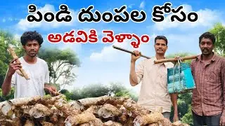 పిండి దుంపలు కోసం అడవికి వెళ్దాం#newvideo#trendingvideo#viralvideo#