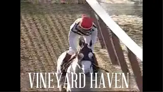Talking Racehorses: Vineyard Haven