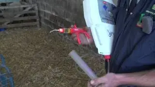 Sheep endoparasite control