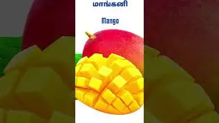 Tamilnadu | Which one is recognized as state fruit in Tamil Nadu #shortsfeed #daily #gk #tamilnadu