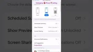 iPhone Government Alert Setting #shorts #iphone #emergency #alert