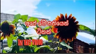 අපේ මේ  සතියෙන් ටිකක් #lifeindenmark #viralvideo 
