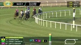 December 19, 2025  Race 9