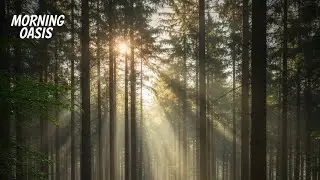 &ldquo;Morning Forest Ambience 🌲✨ | Relaxing Nature Short Video&rdquo;#meditation #naturelovers